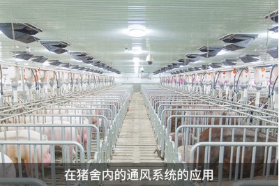 怎樣提高雞舍鴨舍豬舍養(yǎng)殖場(chǎng)的環(huán)境通風(fēng)效果？